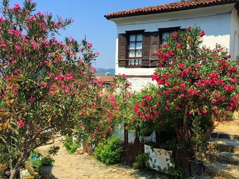 Kirazli Village Kusadasi Ephesus Lodge